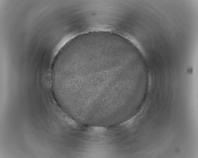 X0000089940878200707201900