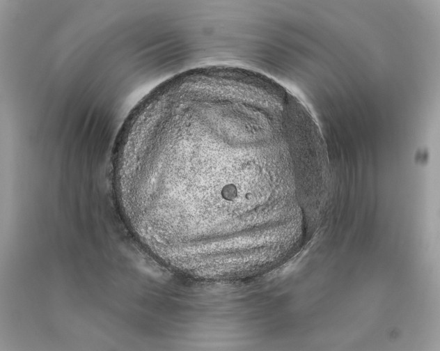 X0000089940879200707201900