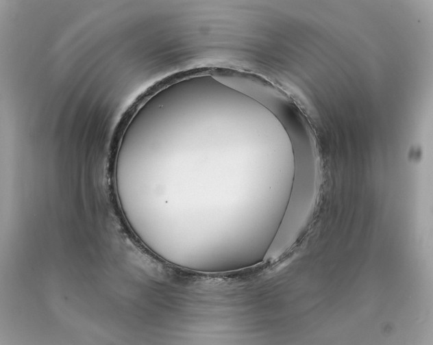 X0000089940880200707201900