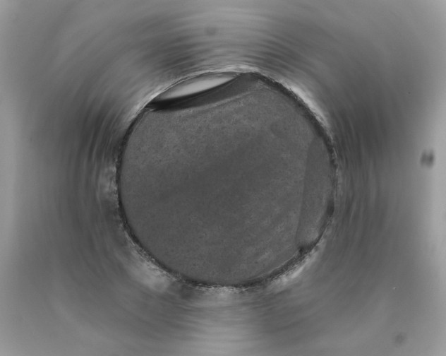 X0000089940881200707201900