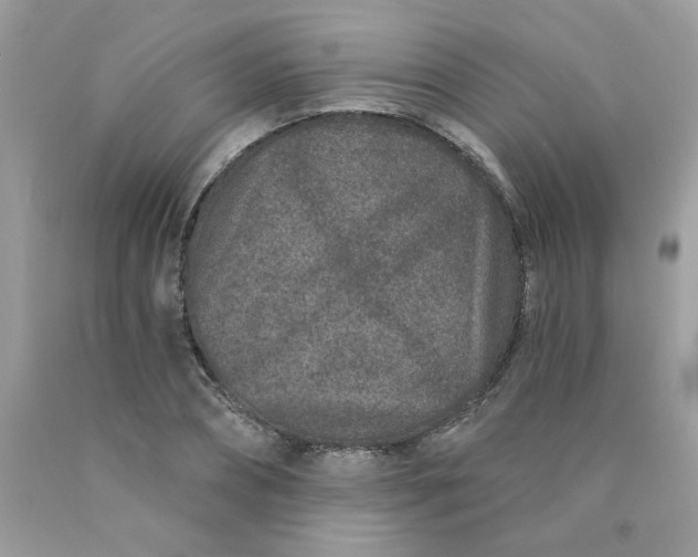 X0000089940882200707201900