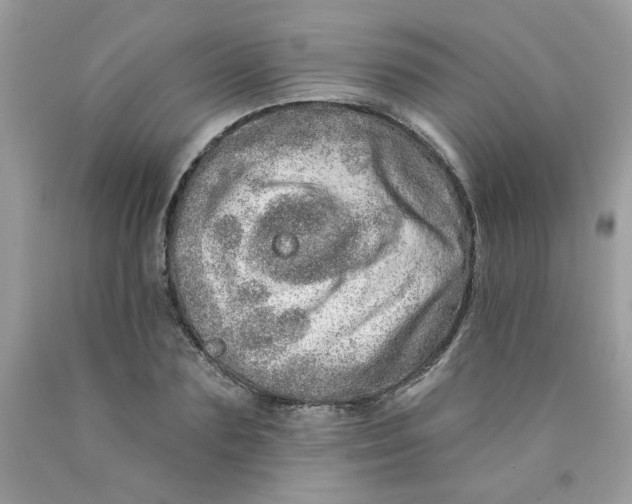 X0000089940883200707201900