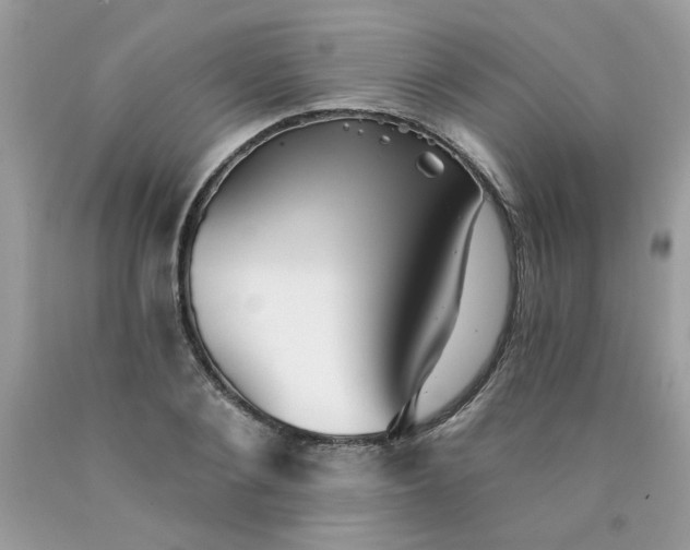 X0000089940884200707201900