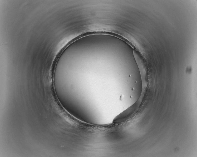 X0000089940885200707201900