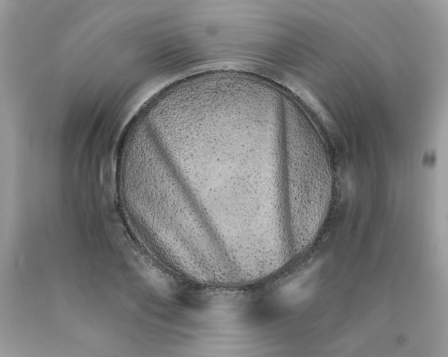 X0000089940886200707201900