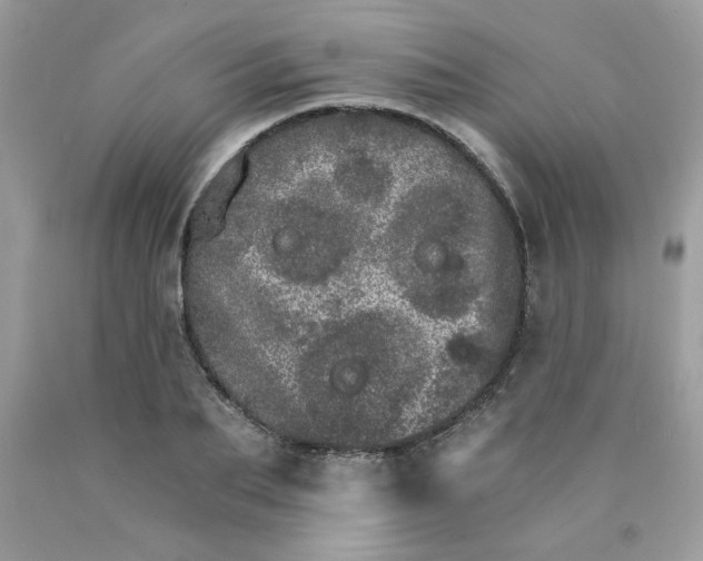 X0000089940887200707201900