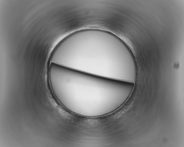 X0000089940888200707201900