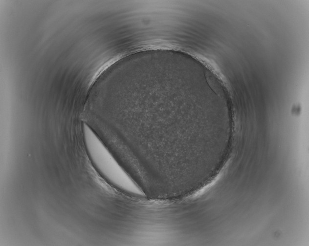 X0000089940889200707201900