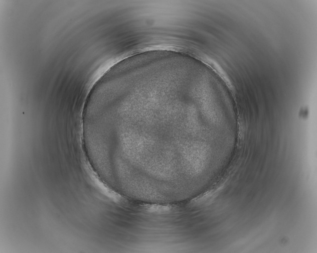 X0000089940890200707201900