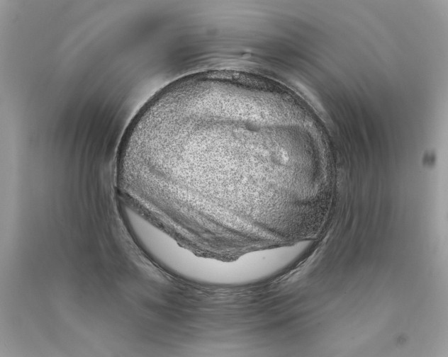 X0000089940891200707201900