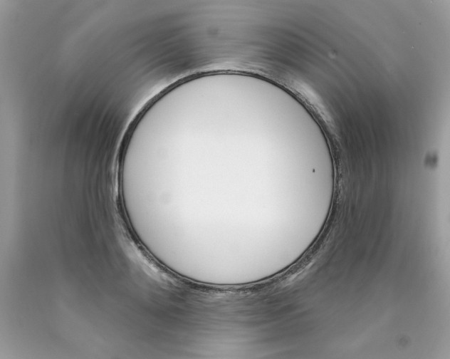 X0000089940892200707201900