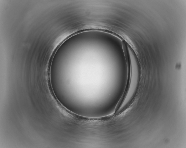 X0000089940893200707201900