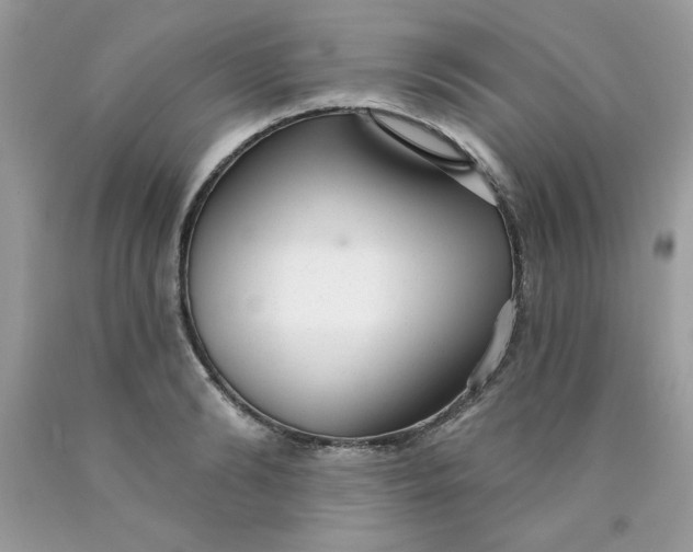 X0000089940894200707201900