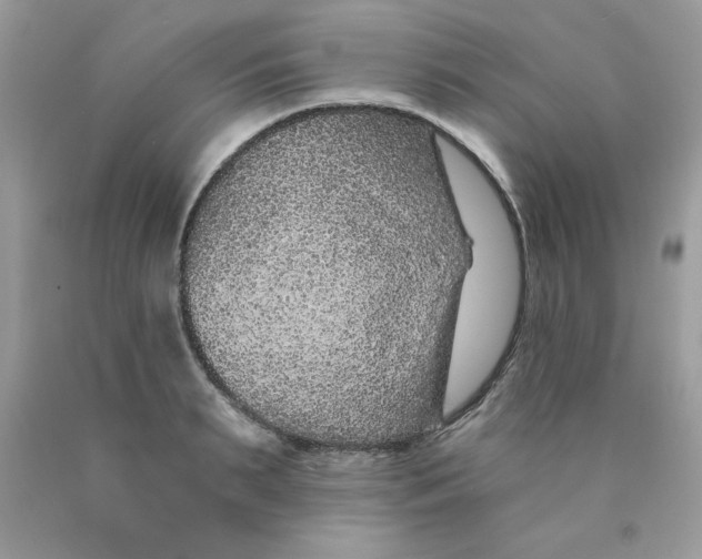 X0000089940895200707201900