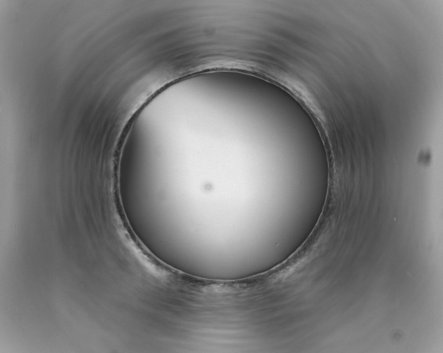 X0000089940898200707201900