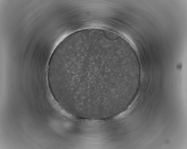 X0000089940899200707201900