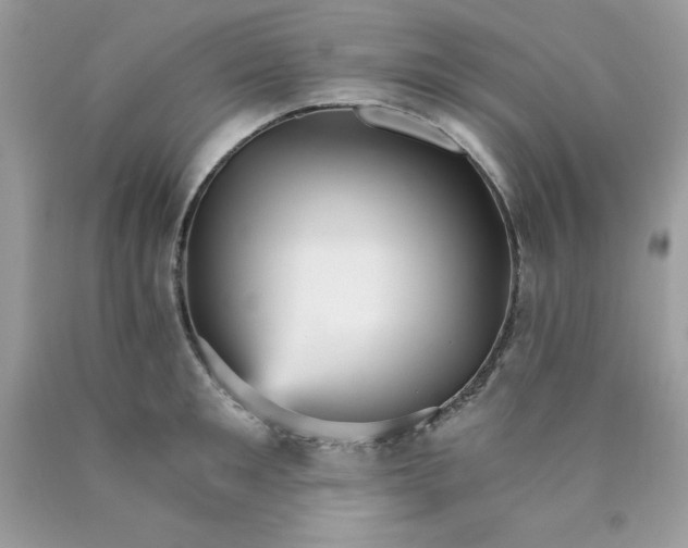 X0000089940901200707201900