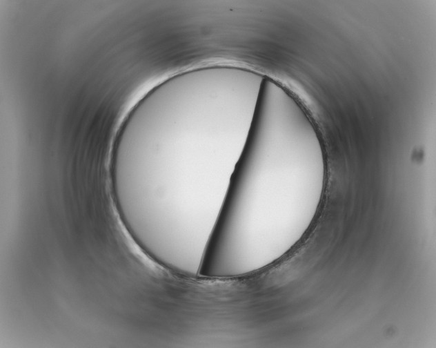 X0000089940902200707201900