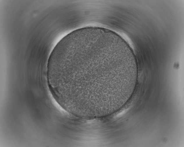 X0000089940903200707201900