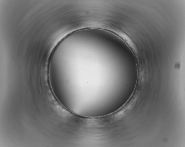 X0000089940904200707201900