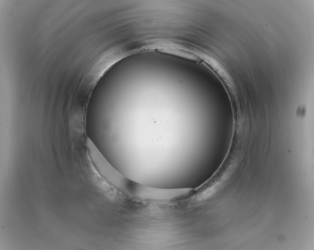 X0000089940905200707201900