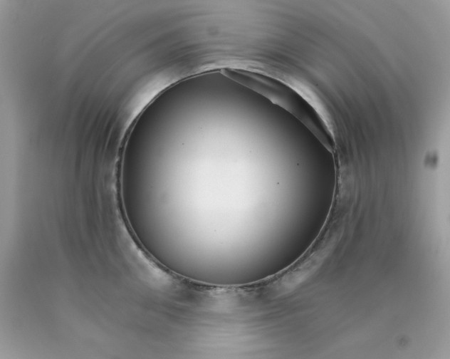 X0000089940906200707201900