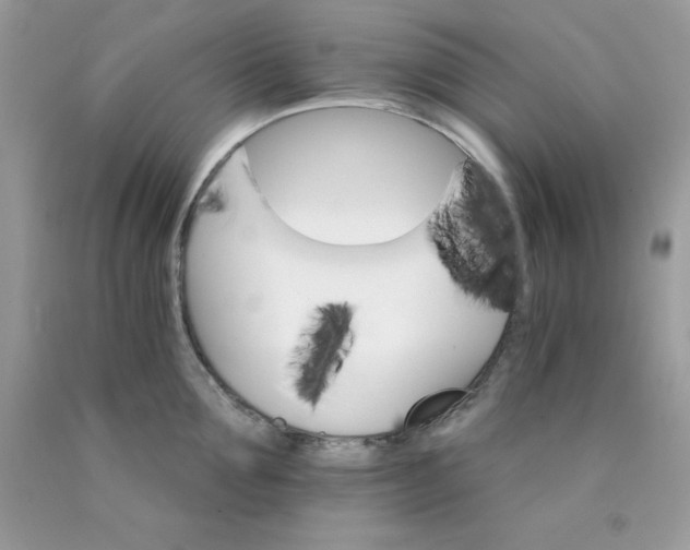 X0000089940907200707201900