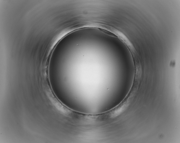 X0000089940908200707201900