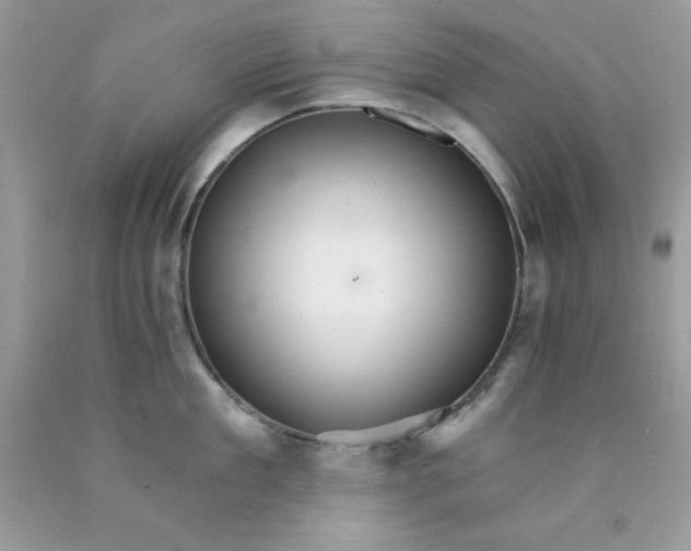 X0000089940909200707201900