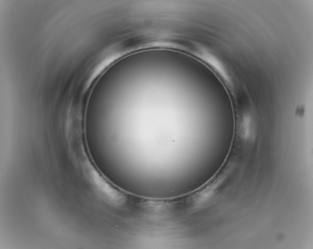 X0000089940910200707201900