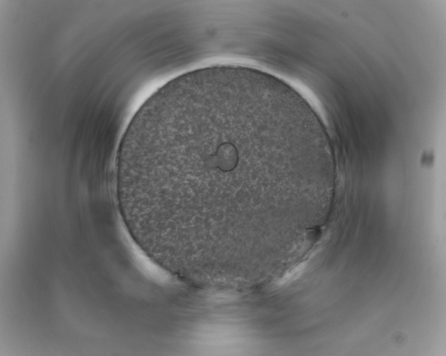 X0000089940911200707201900