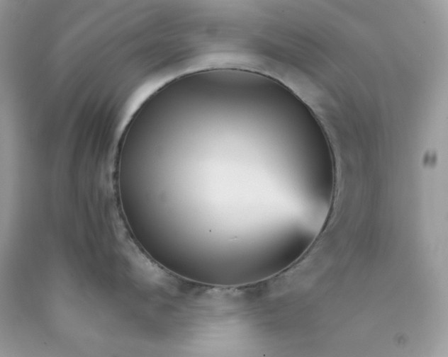 X0000089940912200707201900