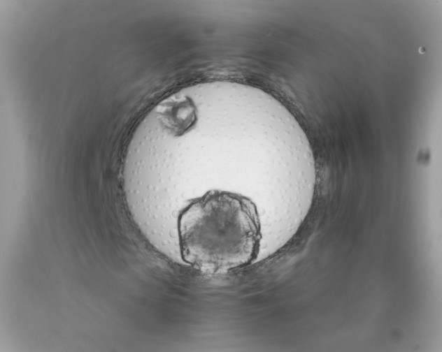 X0000089940913200707201859