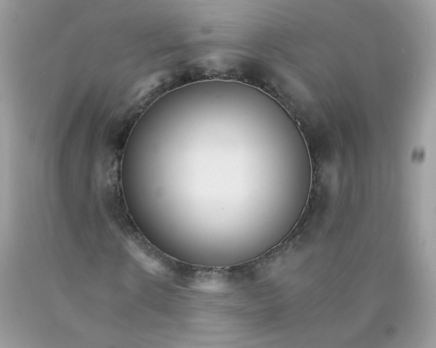 X0000089940914200707201859