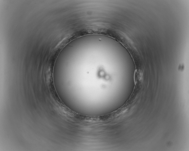 X0000089940915200707201859