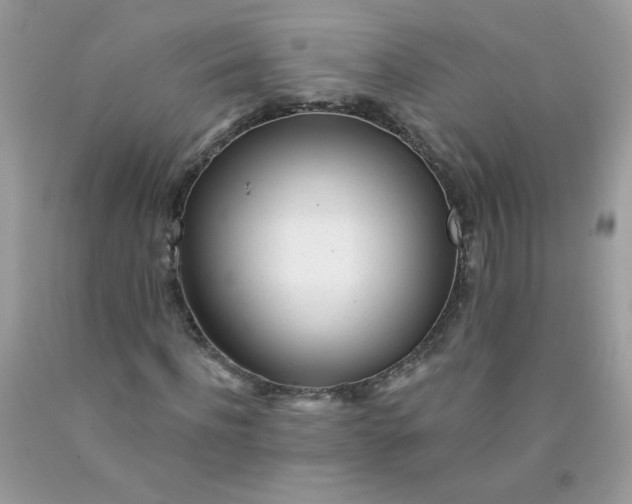 X0000089940916200707201859