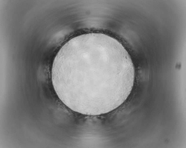 X0000089940918200707201859