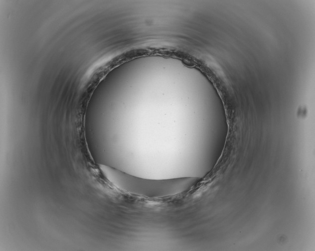 X0000089940920200707201859