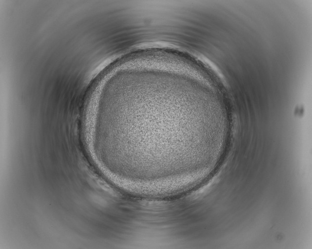 X0000089940921200707201859