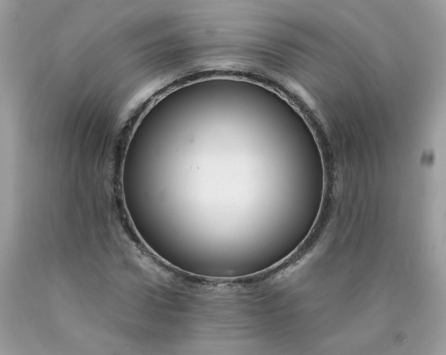 X0000089940922200707201859