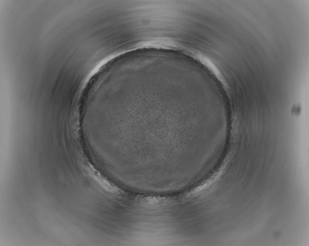 X0000089940923200707201859