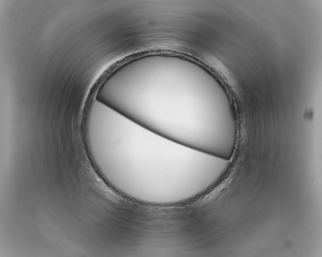 X0000089940924200707201859