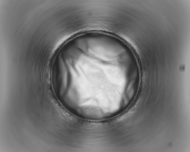 X0000089940925200707201859