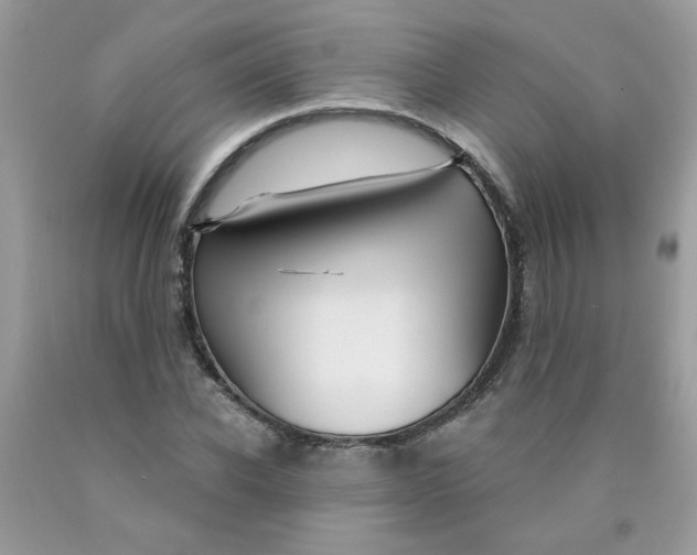 X0000089940926200707201859