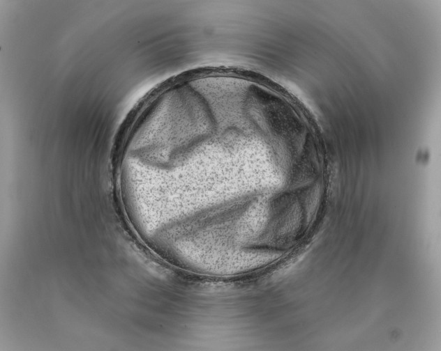 X0000089940927200707201859