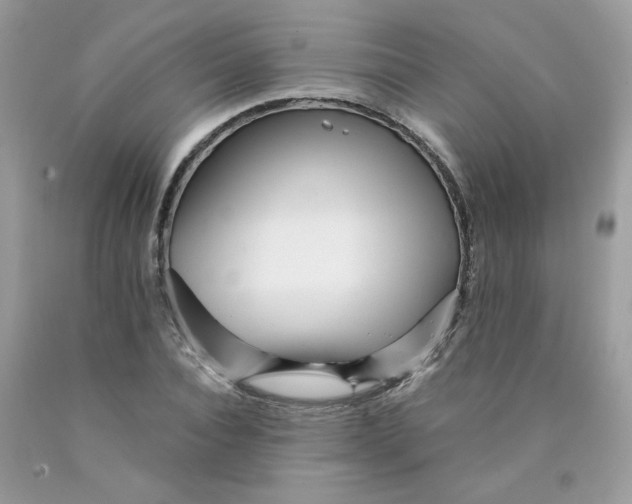 X0000089940928200707201859