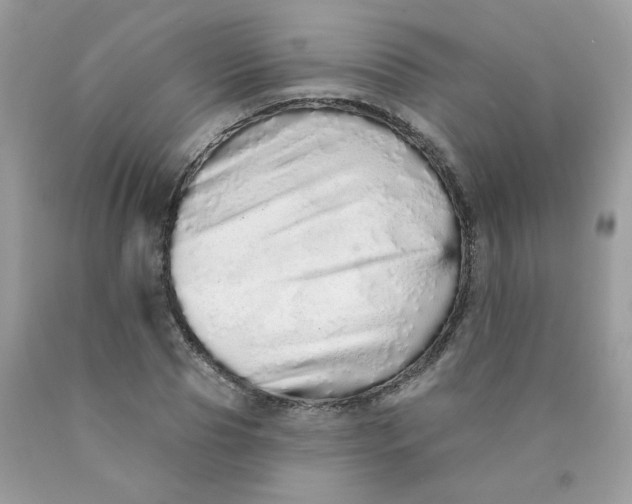 X0000089940929200707201859