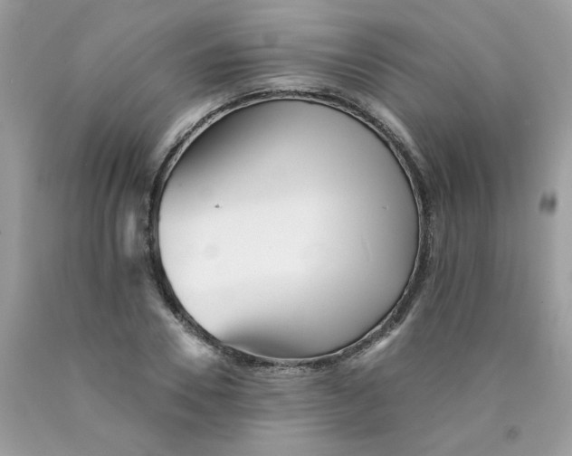 X0000089940930200707201900