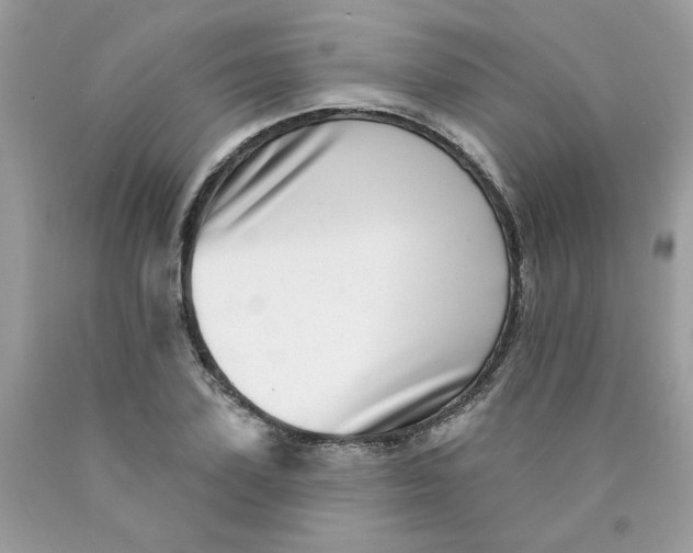 X0000089940931200707201900