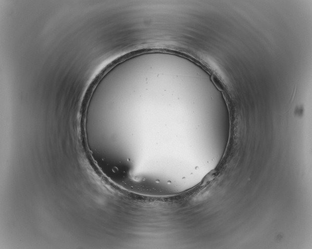 X0000089940932200707201900